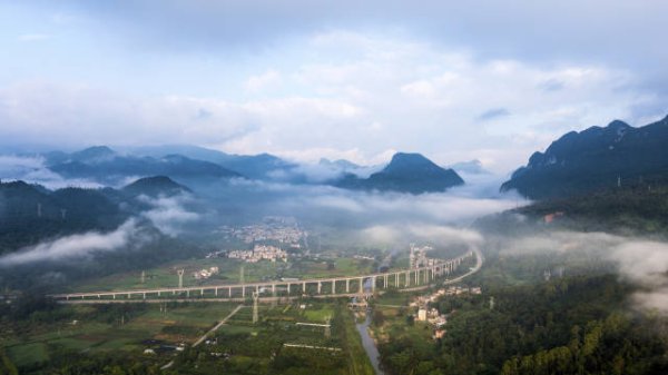 火牛网 文化中国行·大暑 | 岭南稻浪收暑气，工夫茶香纳清欢